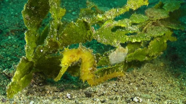 4К Океан - Красивая природа и спокойная музыка которая подойдет для отдыха, медитации и даже сна смотреть онлайн