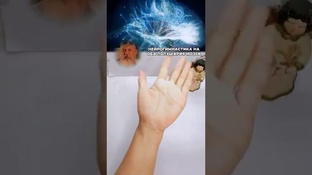 Нейрогимнастика на оба полушария мозга смотреть онлайн