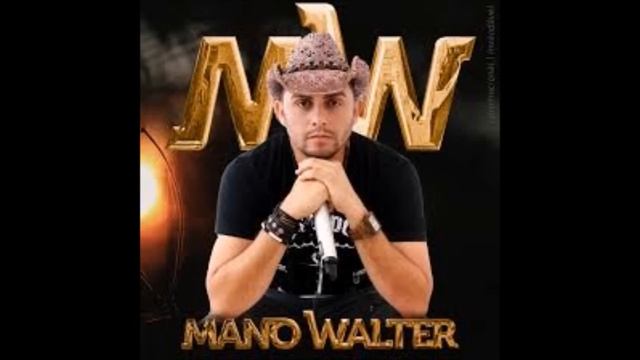 Mano Walter- Agora Vai Ser Pra Valer смотреть онлайн