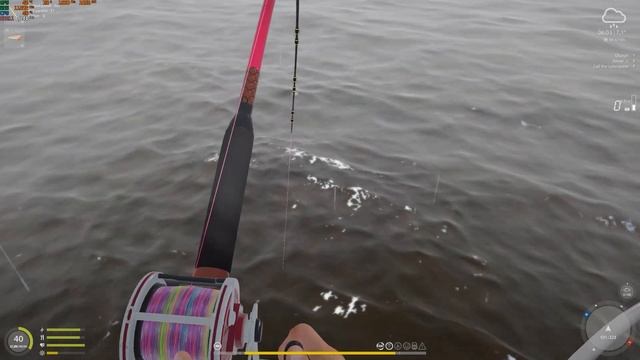 ATLANTIC HALIBUT TROPHY l RUSSIAN FISHING 4