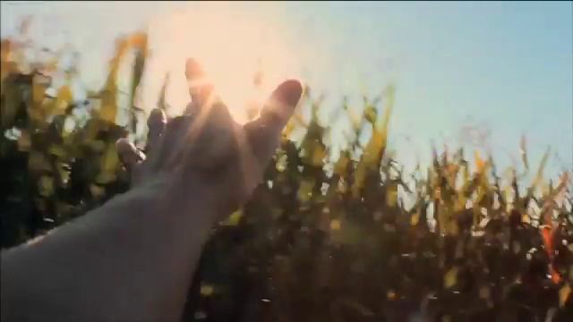 Presidentti-mainosfilmi, Manifesto Delight смотреть онлайн