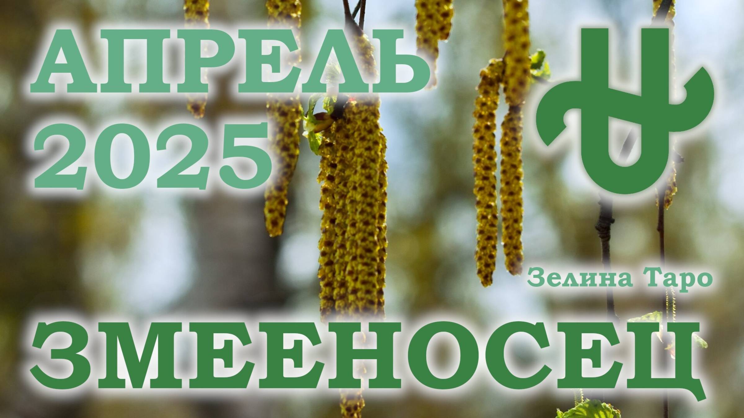 ЗМЕЕНОСЕЦ | ТАРО прогноз на АПРЕЛЬ 2025 года | Желание | Расклад таро | Таро онлайн