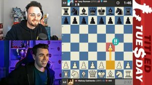 Дебют БЕРДА! Матвей Гальченко - Леви Розман 25.03.2025