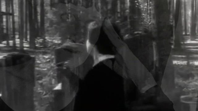 "Муза русской литературы" литературная страница к 135 летию А. Ахматовой смотреть онлайн