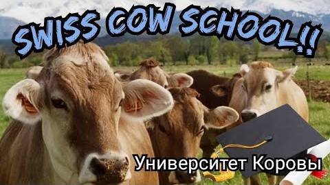 Канадская семья в НН.. Amazing Opportunity for Education!/Получите свой диплом сегодня! смотреть онлайн