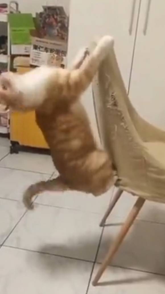 вызывайте экзорциста