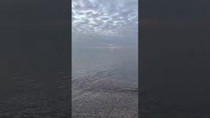 Дивноморское. 27.03.25