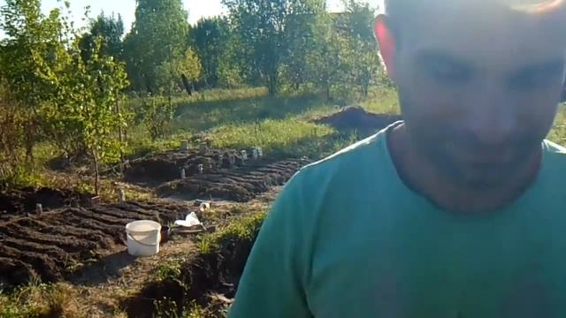 Много грядок засадил. Делайте пометки того, что посажено! смотреть онлайн