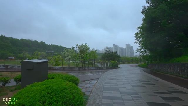 Расслабляющая прогулка под дождем по сказочному лесу под звуки природы ( relax video ) смотреть онлайн