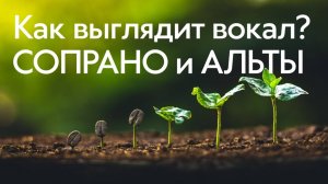 2. КАК ВЫГЛЯДИТ ВОКАЛ. Сопрано и Альты