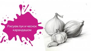 Рисуем Лук и Чеснок Простым Карандашом! Урок для начинающих