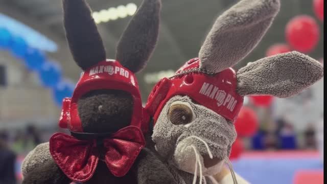 Кубок Сибири Омск 2025 смотреть онлайн