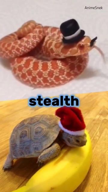 Snek (form 2) Vs Terrapin(form 2)#edit #1v1 #snake #terrapins смотреть онлайн