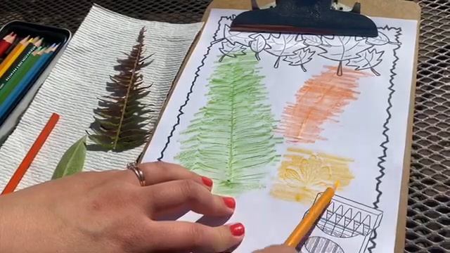 4/24 Week 3 Fresh Air Friday Lesson and Story Time with Mrs. Mac! смотреть онлайн