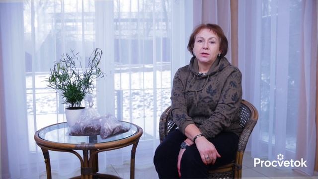 ВЫРАСТУТ ДАЖЕ НА КАМНЯХ! 10 роскошных кустарников для неплодородной почвы смотреть онлайн