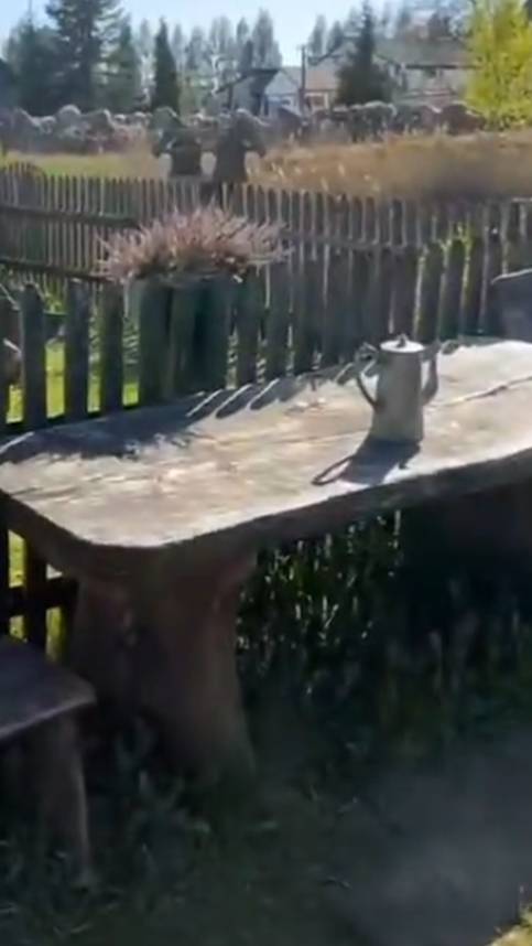 забота о природе