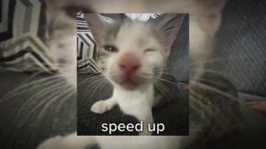 (speed up) Бигуди - Иван Дорн