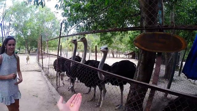 Nha Trang 02.2017 смотреть онлайн