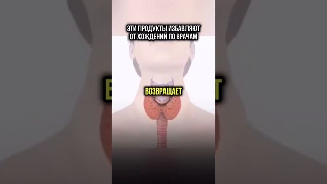 Продукты, которые заменяют таблетки смотреть онлайн