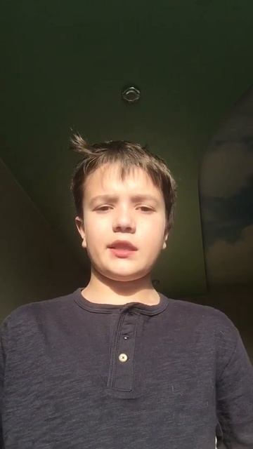 Бунин. Все лес и лес смотреть онлайн