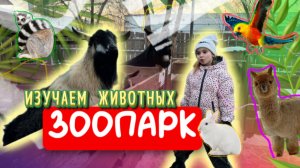 ТРОГАТЕЛЬНЫЙ ЗООПАРК