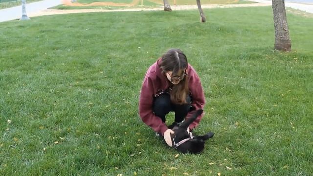 Test de campbell - Lili смотреть онлайн