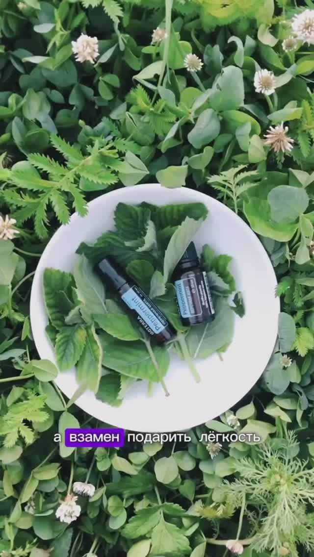 Мама Даша / жизненный                ЗОЖ