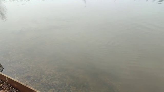 WhatsApp Video 2025-03-27 at 09.54.54 смотреть онлайн