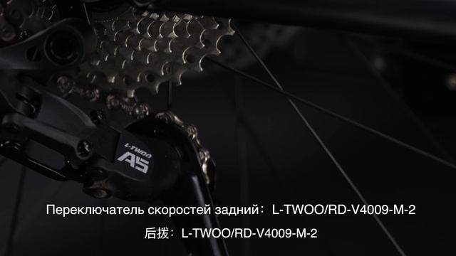 TT219-26