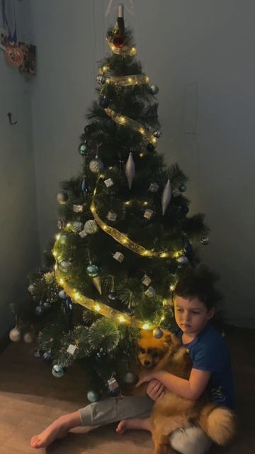 Здравствуй ёлка, Новый Год!