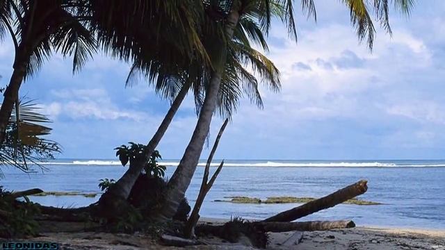 Georges Delerue - Solitude (Piano)