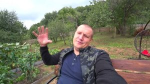 Утащили пол хрюшки, почему заболели и куда опять тратим деньги