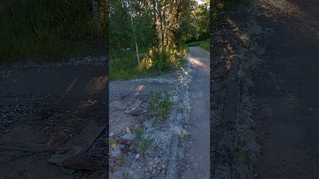 Тополиный пух в Кандалакше смотреть онлайн