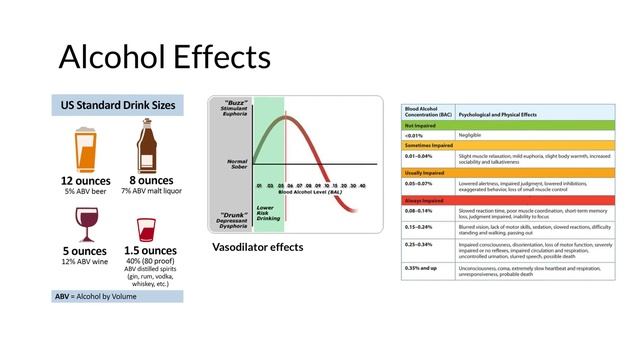PA Student Pharmacotherapeutics: Alcohol Mechanism of Action смотреть онлайн