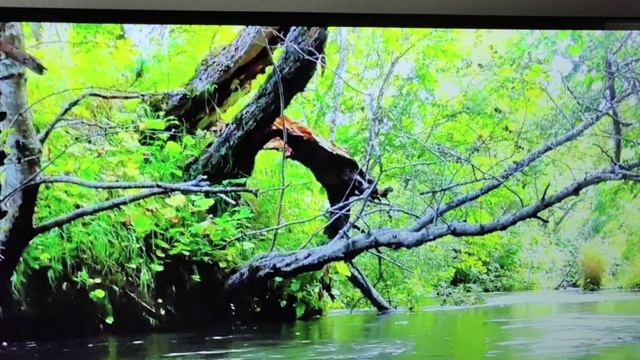 VID_20250327_132708.mp4Медитация .Почки🙏😇💖 смотреть онлайн