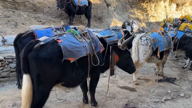 креосан Эверест 5 часть 🔥