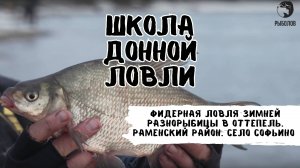 Фидерная ловля зимней разнорыбицы в оттепель. Раменский район. Село Софьино