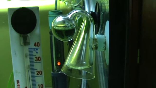 drop cheker смотреть онлайн