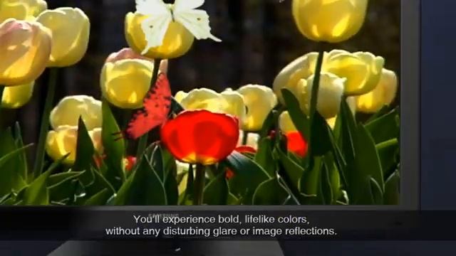 Samsung Series 7 3D LED TVs - Full 1080p HD 3D Picture Quality.mov смотреть онлайн