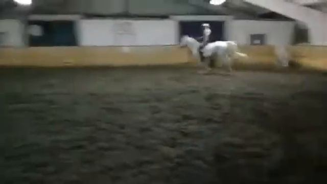 на кордео без седла