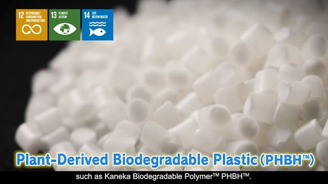 Plant-Derived Biodegradable Plastic Tackles Marine Debris Problem смотреть онлайн