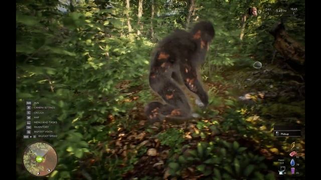 Bigfoot Life - Official Demo Trailer