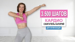 30 МИН СЖИГАНИЯ КАЛОРИЙ, НИЗКОИНТЕНСИВНОЕ КАРДИО БЕЗ ПРЫЖКОВ | ФИЗКУЛЬТУРНИЦА