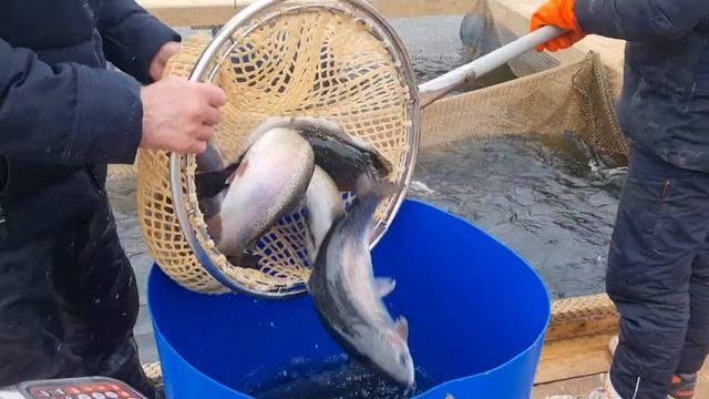 27-03-2025 смотреть онлайн