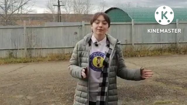 Команда "Доминанты" МБОУ "Гимназия п.Нижний Куранах" смотреть онлайн