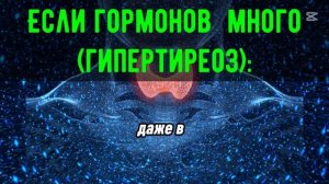 Что такое щитовидная железа и как она влияет на твоё здоровье?
