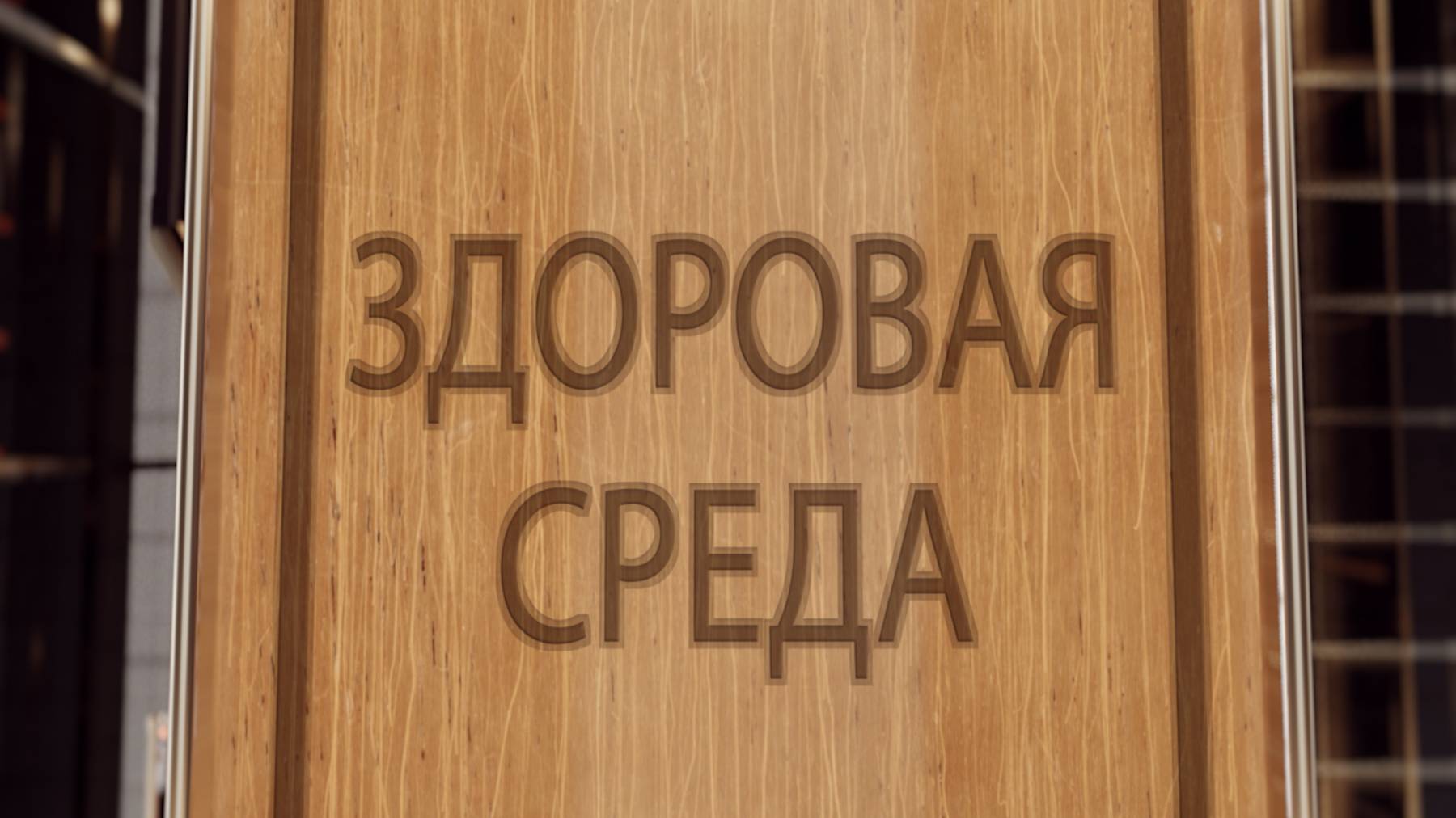 ЗДОРОВАЯ СРЕДА КРАЕВАЯ СПЕЦИАЛИЗИРОВАННАЯ ПСИХИАТРИЧЕСКАЯ БОЛЬНИЦА № 3 смотреть онлайн