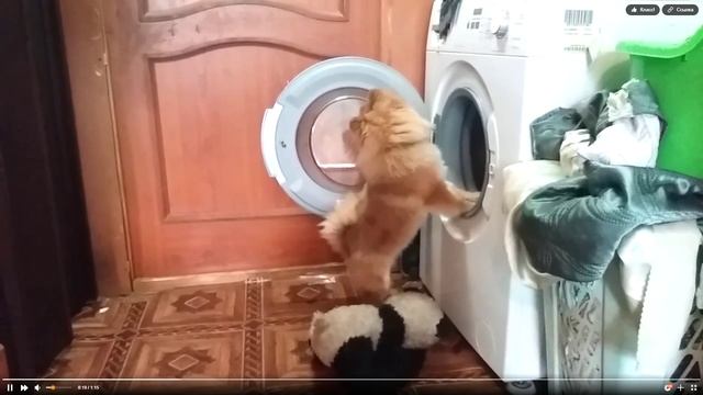 Приземлился смотреть онлайн