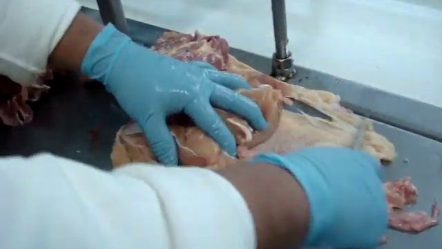 Chwarma смотреть онлайн