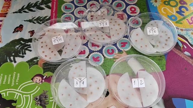 Замачивание и повев ТОМАТОВ. Немного о ПЕРЦАХ смотреть онлайн